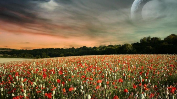 你们的腰突是怎么突然好的？